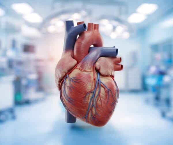 Chirurgie cardio-vasculaire