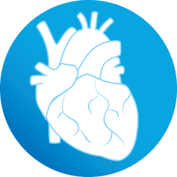 Chirurgie cardio-vasculaire